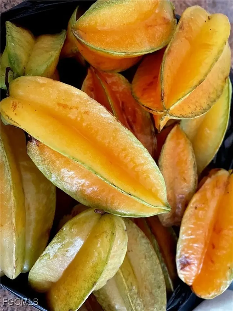 10464 Betsy Parkway St. James City FL 33956