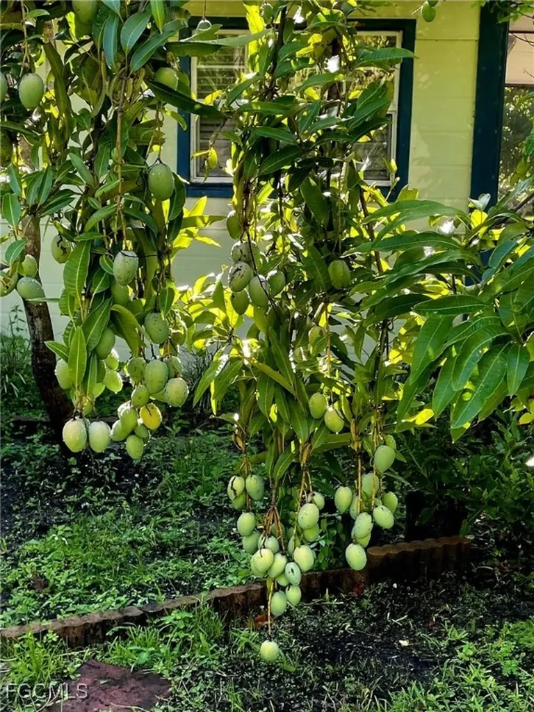 10464 Betsy Parkway St. James City FL 33956