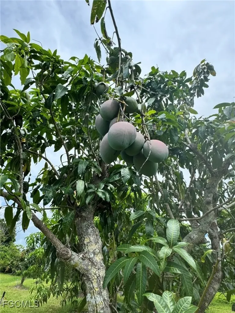 10464 Betsy Parkway St. James City FL 33956