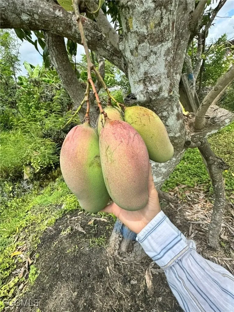 10464 Betsy Parkway St. James City FL 33956