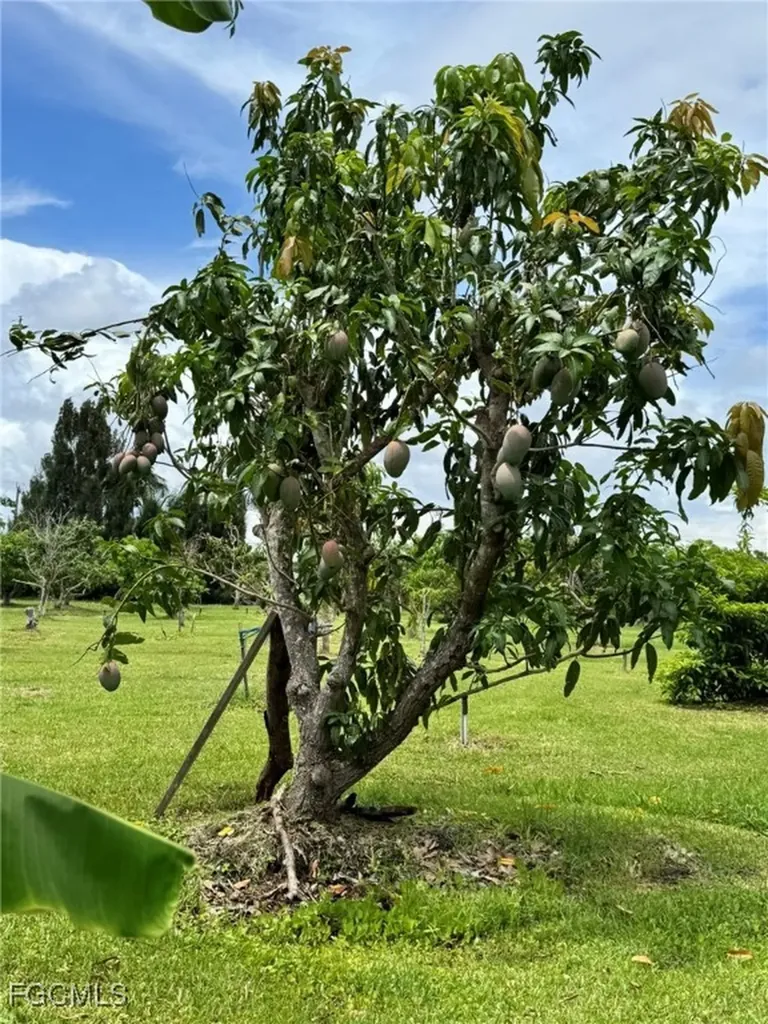 10464 Betsy Parkway St. James City FL 33956