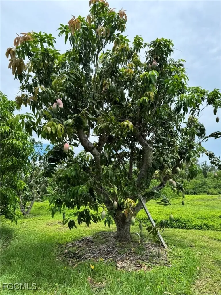 10464 Betsy Parkway St. James City FL 33956