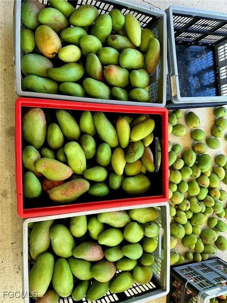 10464 Betsy Parkway St. James City FL 33956