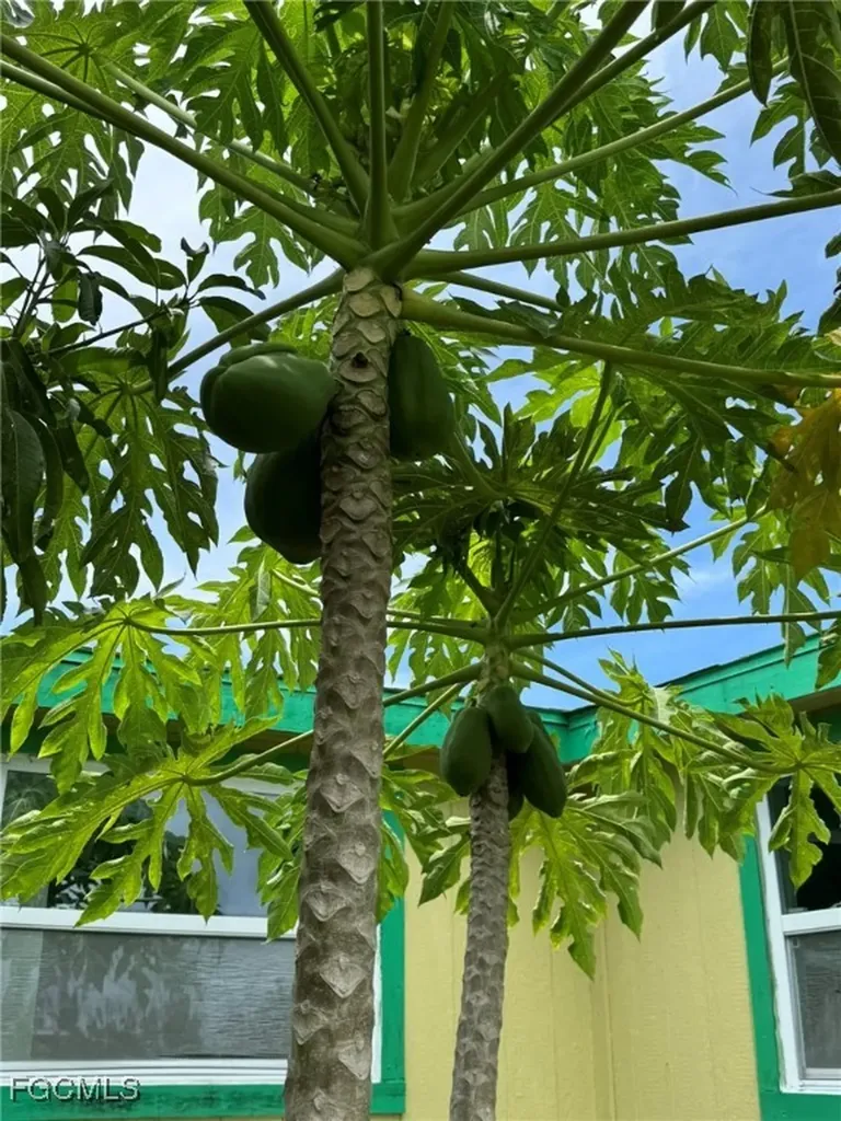 10464 Betsy Parkway St. James City FL 33956