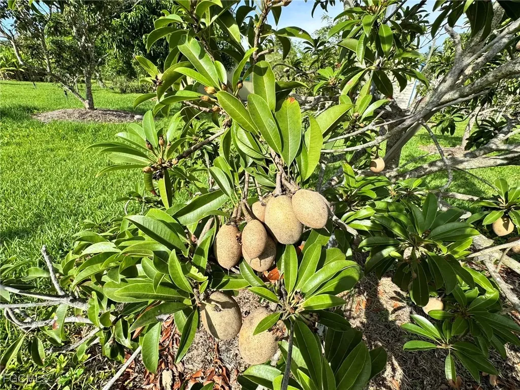 10464 Betsy Parkway St. James City FL 33956