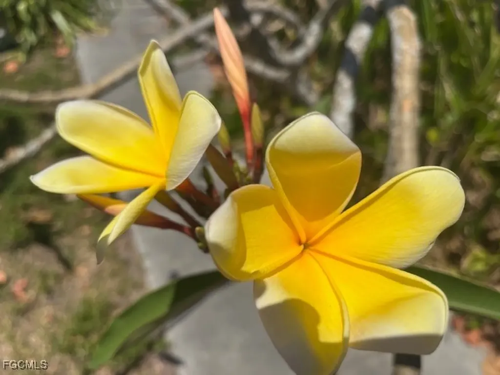 7256 Victory Road Bokeelia FL 33922