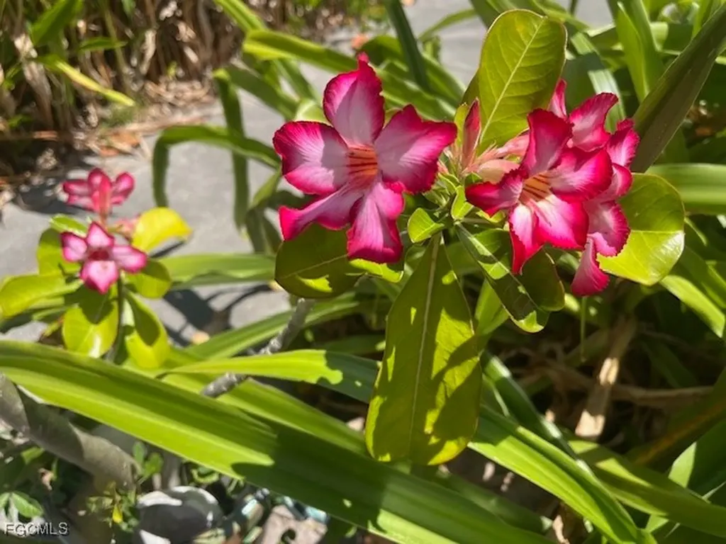 7256 Victory Road Bokeelia FL 33922