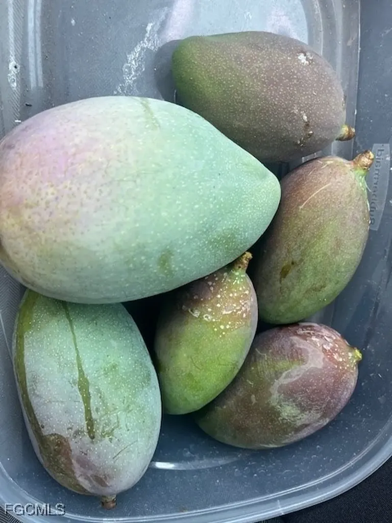 7256 Victory Road Bokeelia FL 33922