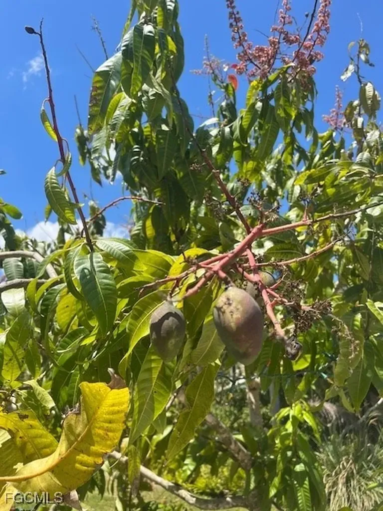 7256 Victory Road Bokeelia FL 33922