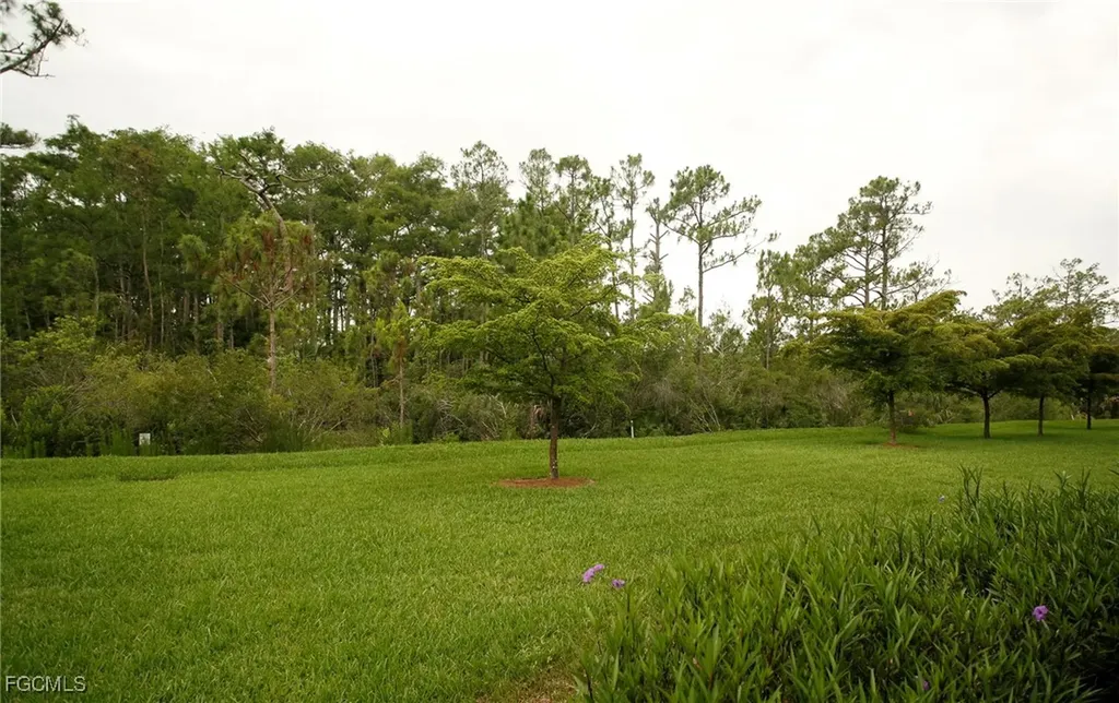 11070 Esteban Drive Fort Myers FL 33912