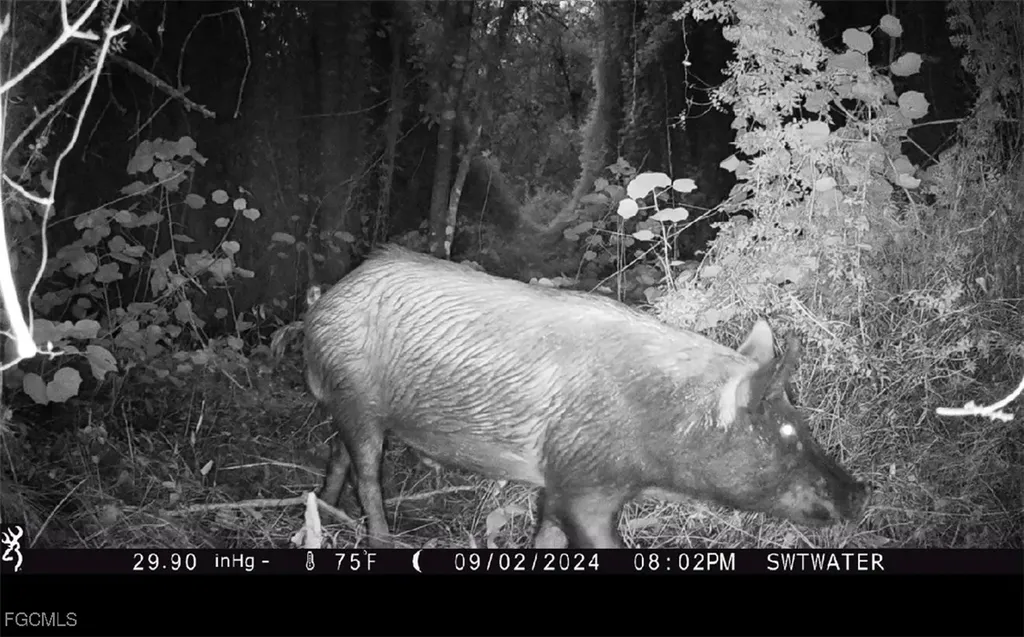 Secretariat Drive Labelle FL 33935