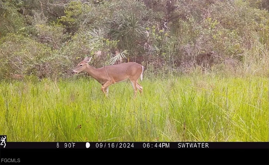 Secretariat Drive Labelle FL 33935