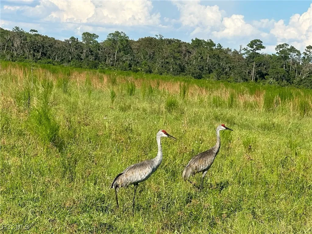 Secretariat Drive Labelle FL 33935