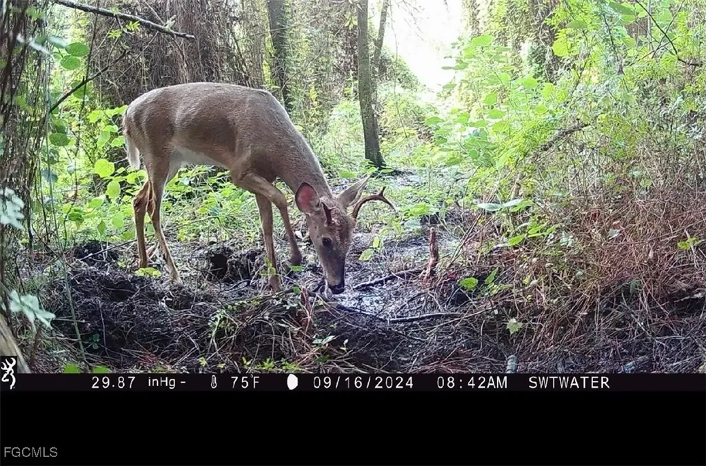 Secretariat Drive Labelle FL 33935