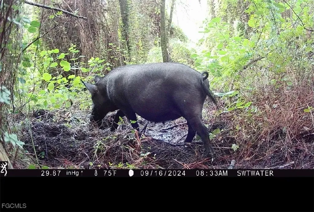 Secretariat Drive Labelle FL 33935