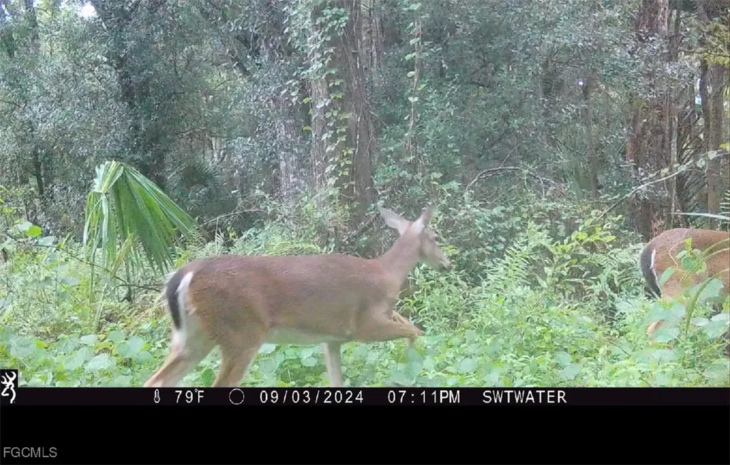 Secretariat Drive Labelle FL 33935