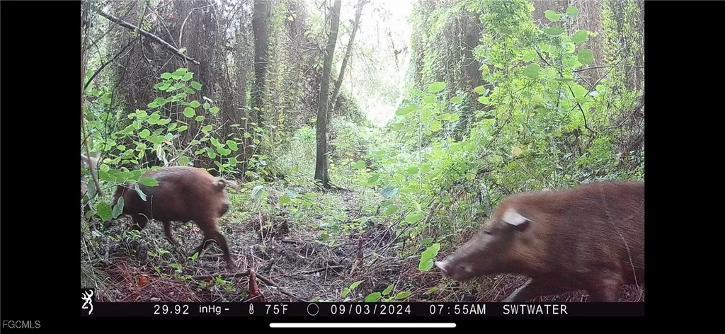 Secretariat Drive Labelle FL 33935