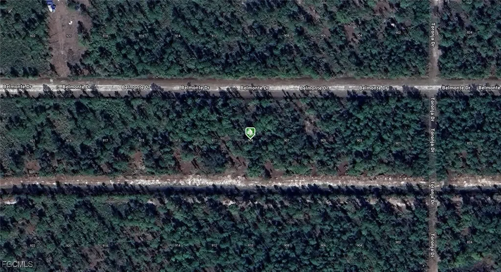 909 Belmonte Drive Indian Lake Estates FL 33855