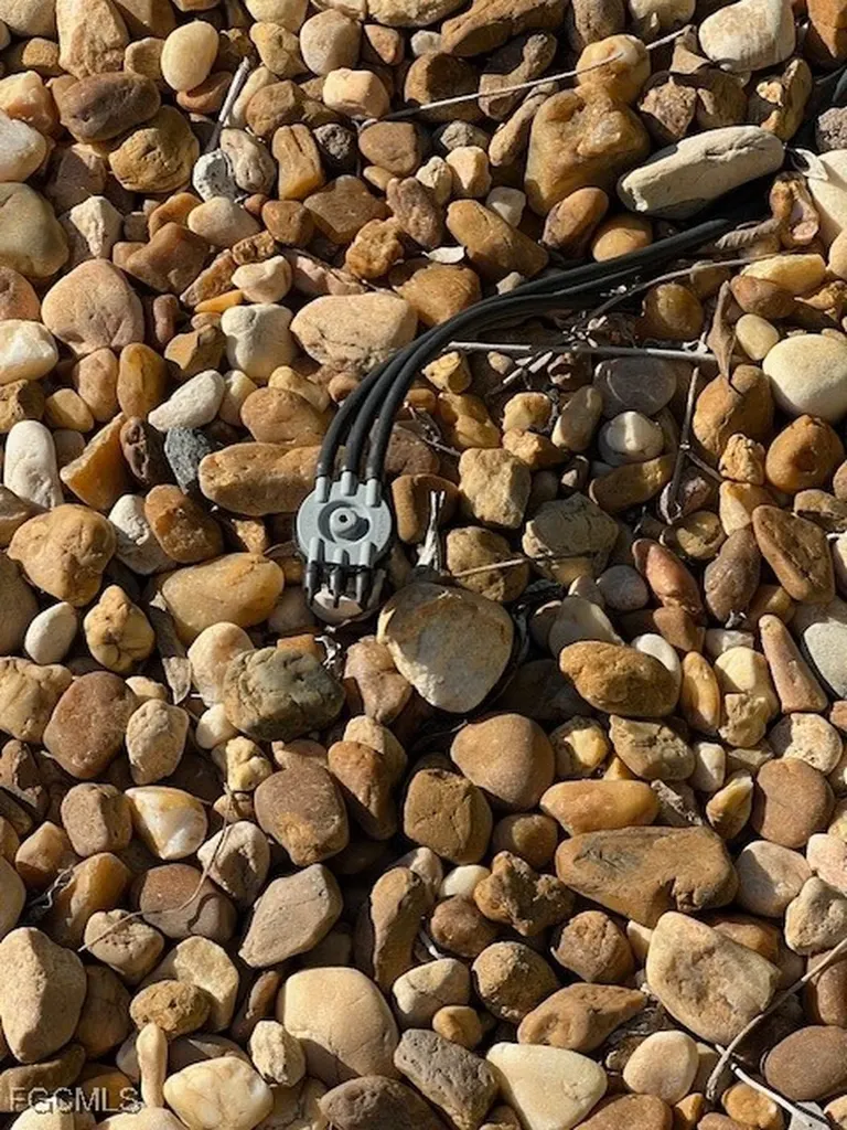 10232 Meadow Beauty Trail Fort Myers FL 33905