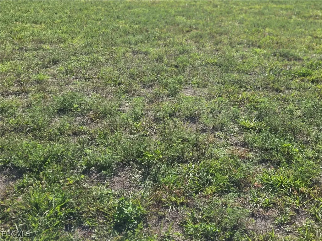 2405 NW 7th Avenue Cape Coral FL 33993