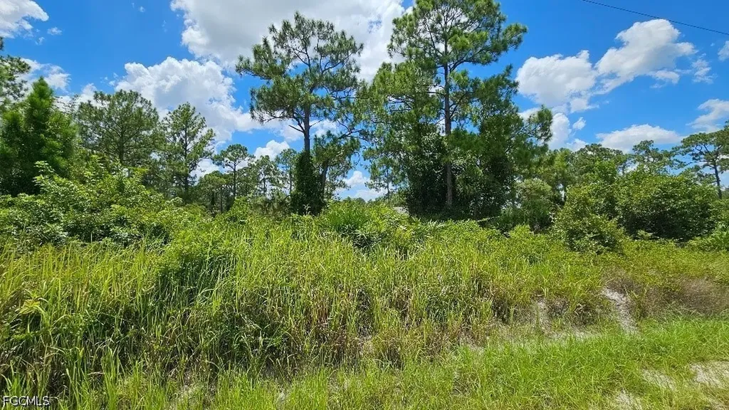 1213 Edison Avenue Lehigh Acres FL 33972