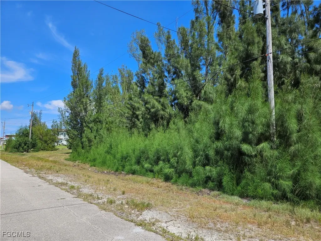 4235 NW 24th Terrace Cape Coral FL 33993