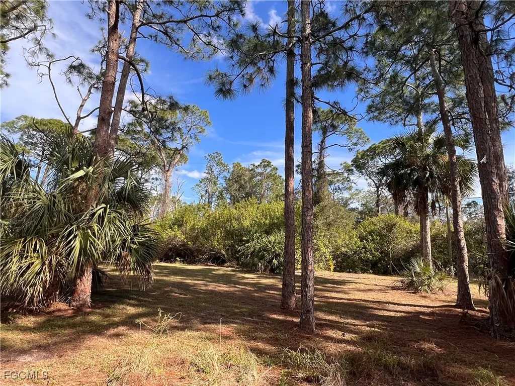 2002 Truman Avenue Alva FL 33920