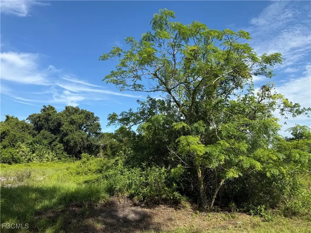 370 N Palomino Street Clewiston FL 33440