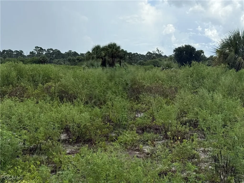 124 Ardmore Circle Labelle FL 33935