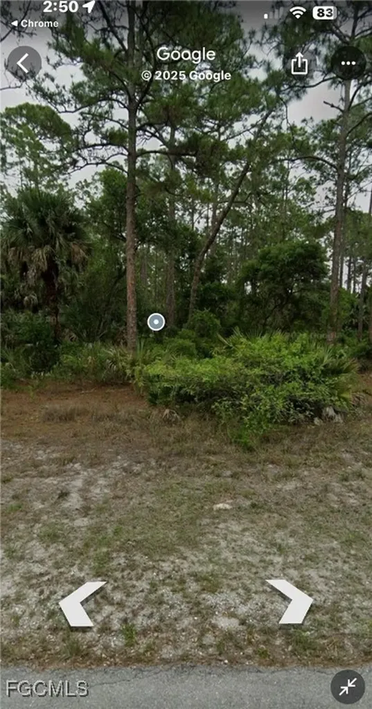 1712 Greenwood Avenue Lehigh Acres FL 33183