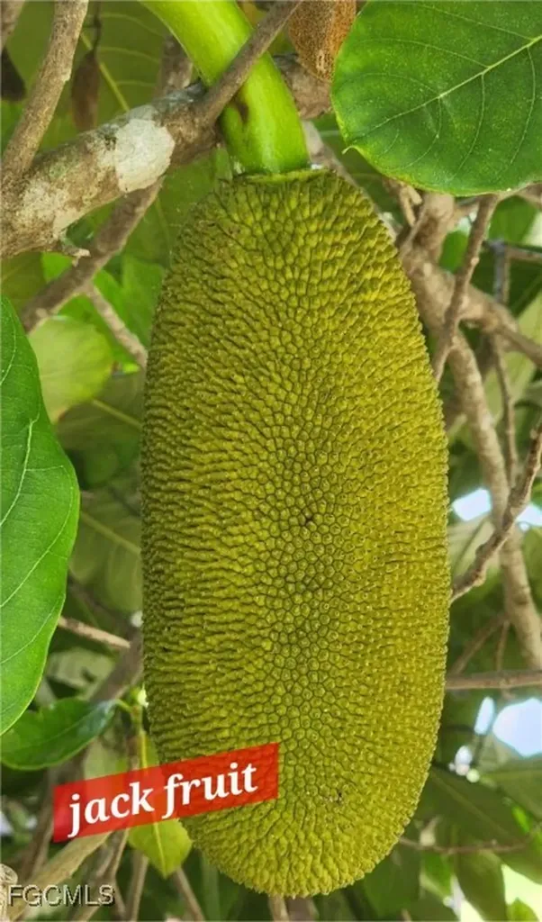 19760 Adams Road Fort Myers FL 33908