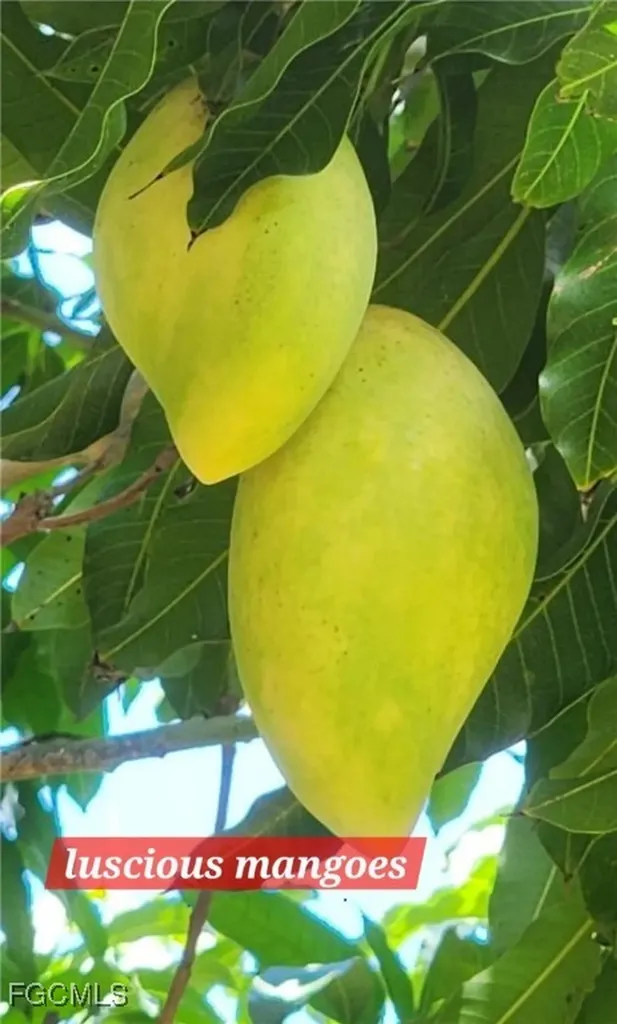 19760 Adams Road Fort Myers FL 33908