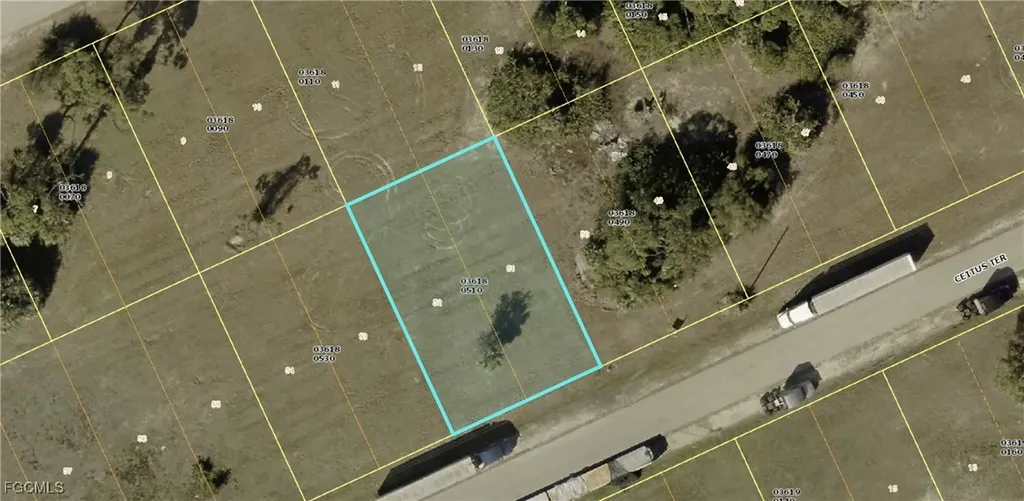 1011 Ceitus Terrace Cape Coral FL 33991