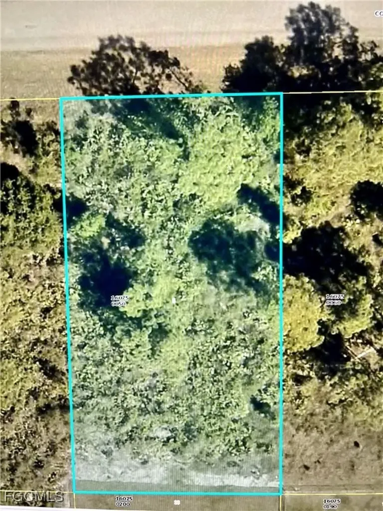 1114 Colonial Street E Lehigh Acres FL 33974