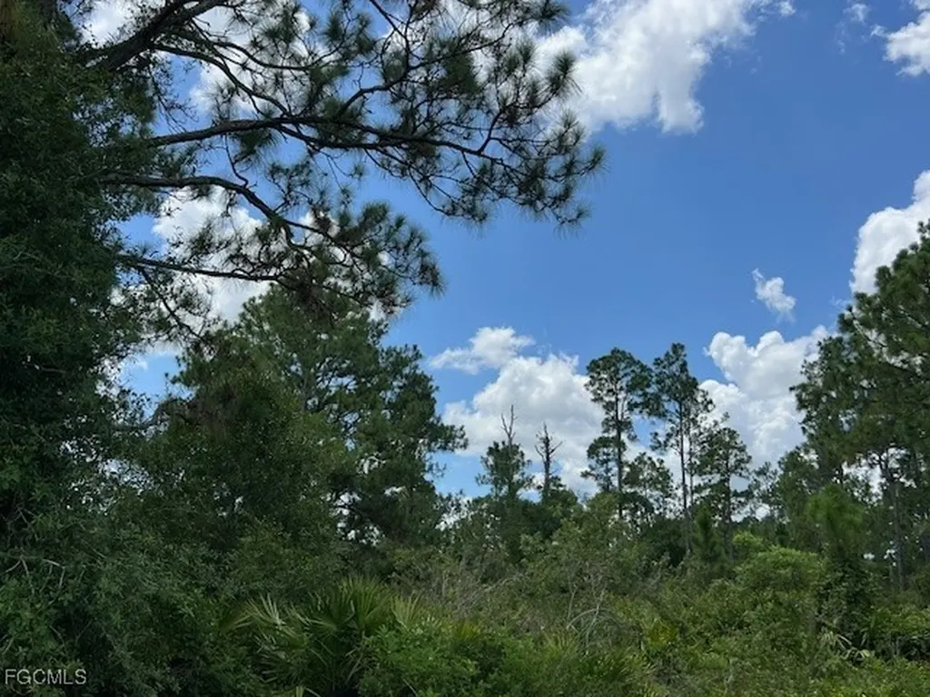 3602 E 11th Street Lehigh Acres FL 33972