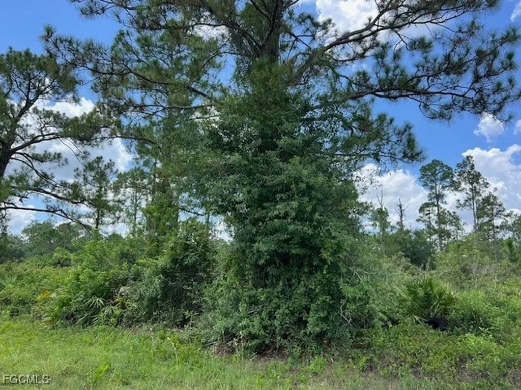 3602 E 11th Street Lehigh Acres FL 33972