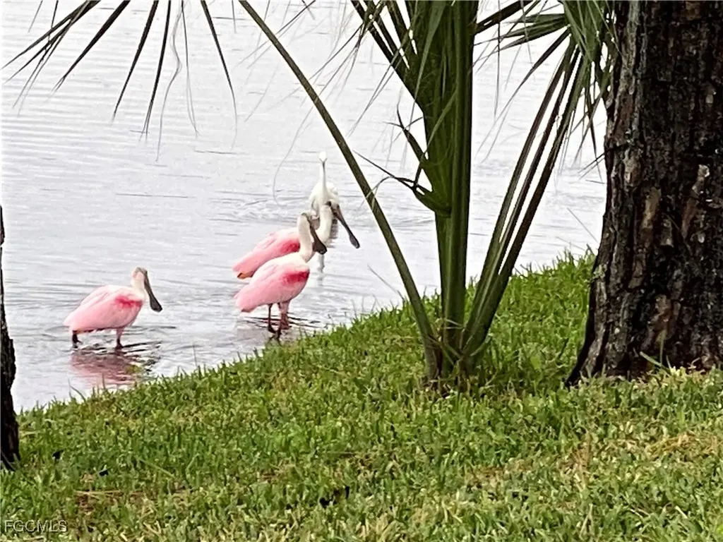 13779 Golden Palms Circle Fort Myers FL 33913