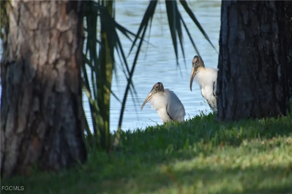 13779 Golden Palms Circle Fort Myers FL 33913