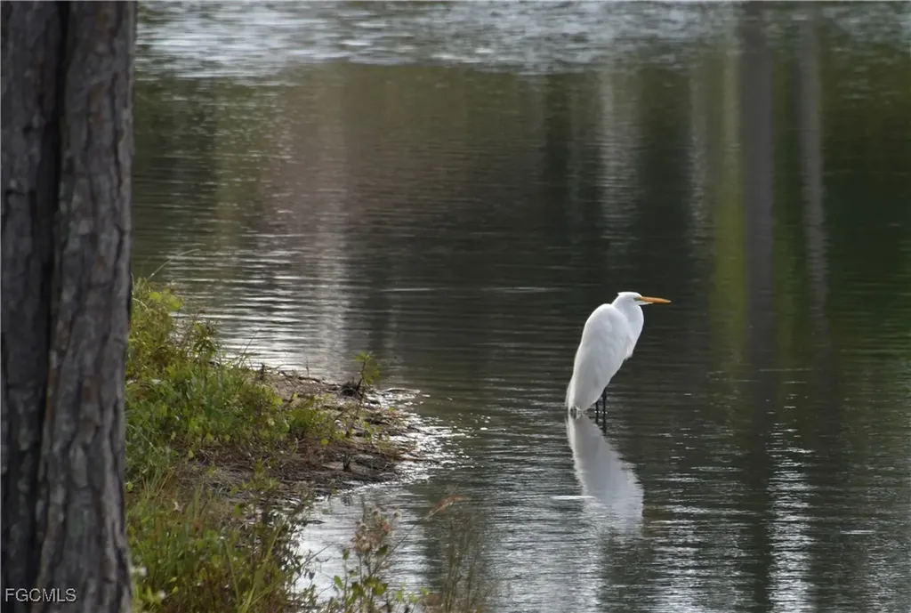 13779 Golden Palms Circle Fort Myers FL 33913