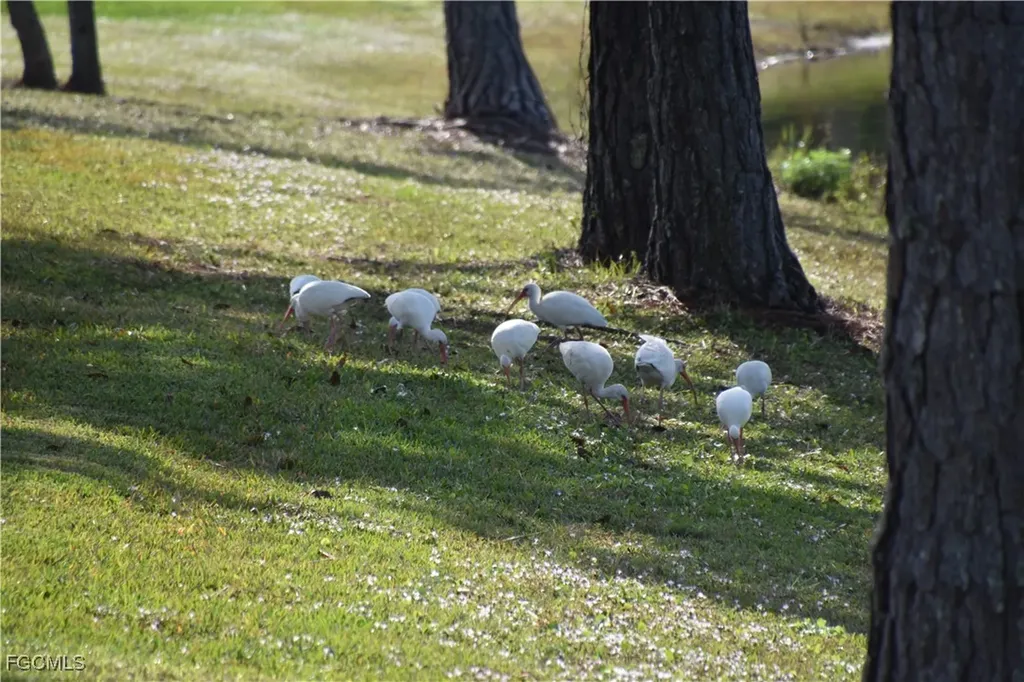 13779 Golden Palms Circle Fort Myers FL 33913