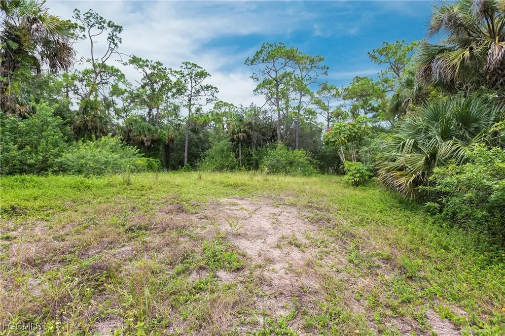 3180 Packinghouse Road Alva FL 33920