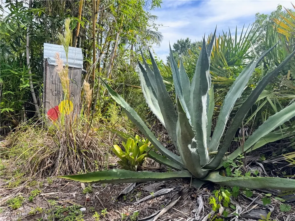 6681 Fuller Drive Bokeelia FL 33922