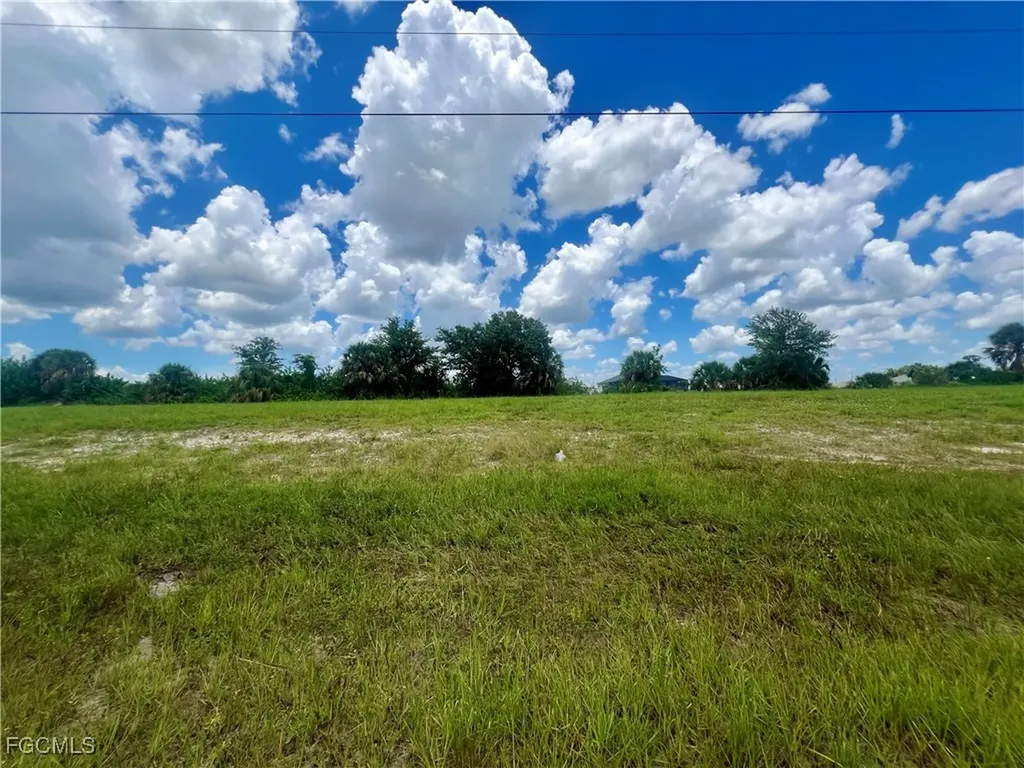 1423 NW 8th Terrace Cape Coral FL 33993