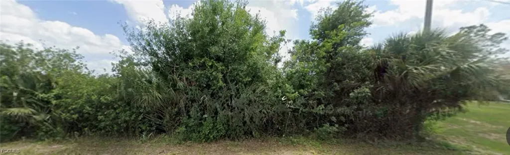 856 Frederick Reid Street E Lehigh Acres FL 33974