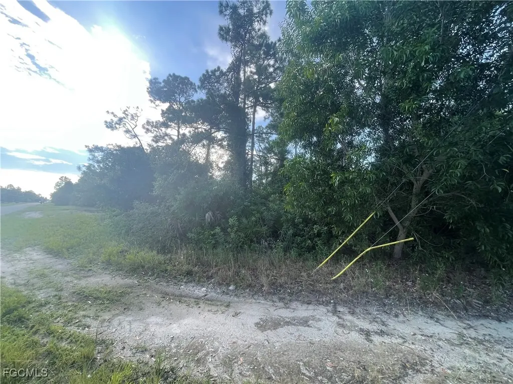 1804 Dewitt Avenue N Lehigh Acres FL 33971