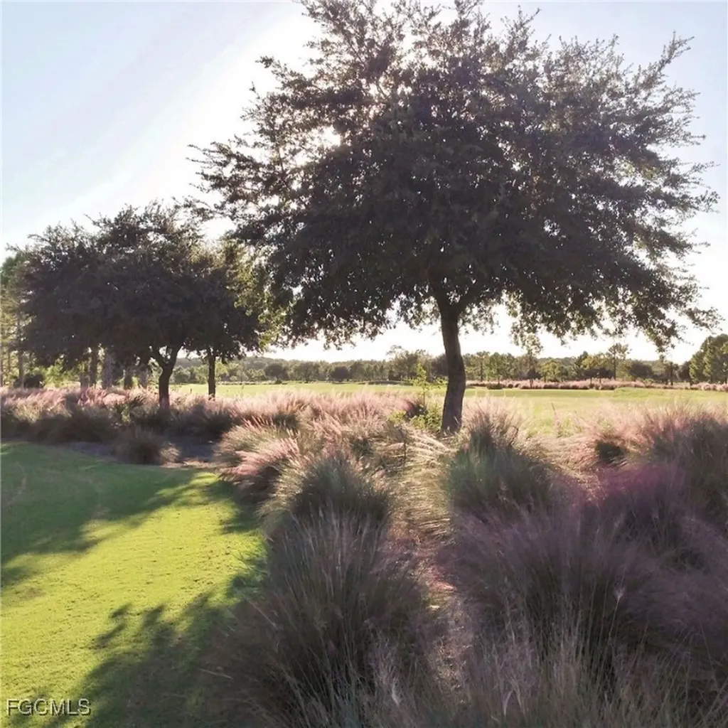 17160 Easy Stream Court Alva FL 33920