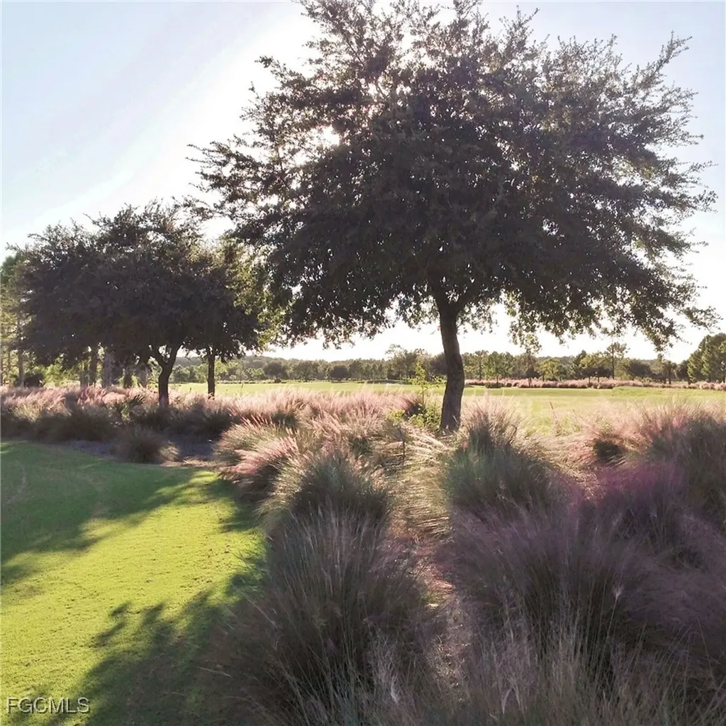 17160 Easy Stream Court Alva FL 33920