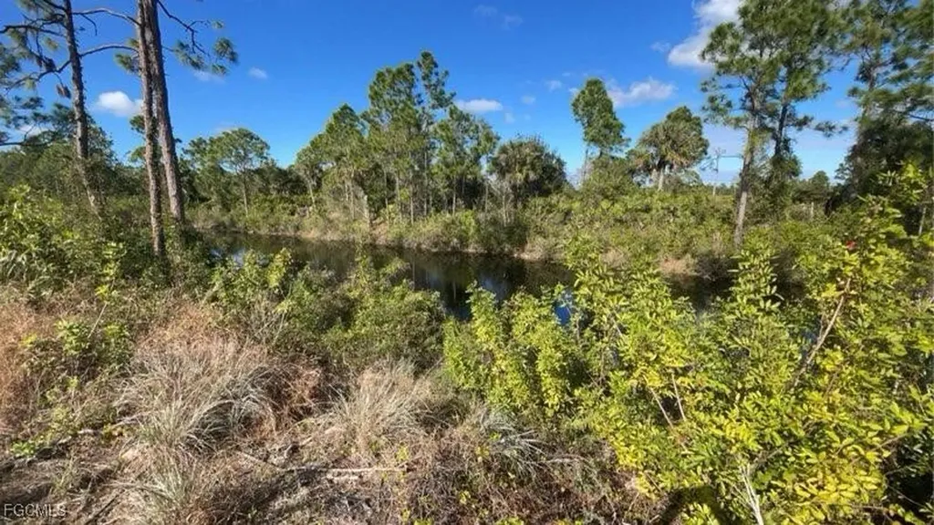 637 Wilmington Parkway Cape Coral FL 33993