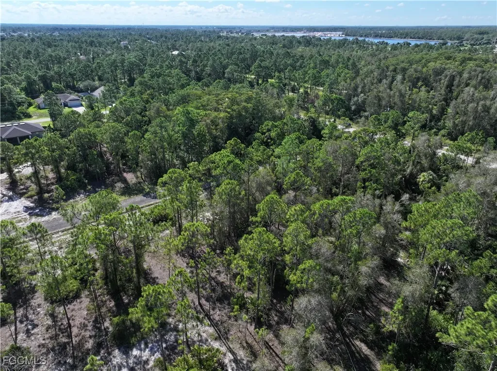 1010 Jernican Avenue Lehigh Acres FL 33974