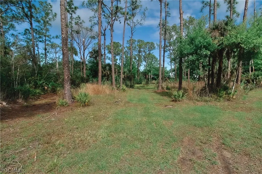 19401 Witts End Alva FL 33920